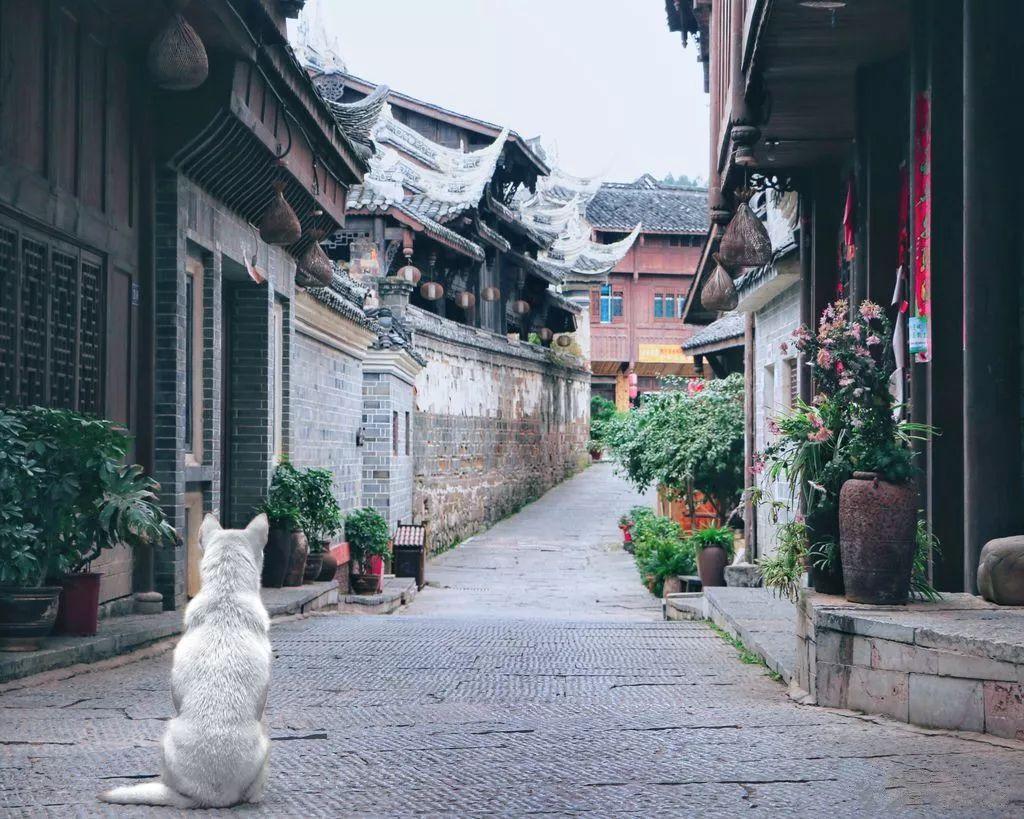 决战加勒比