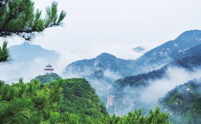 熊出没水果大陆2